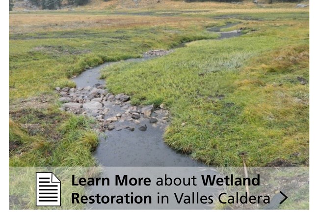 Learn More about Wetland Restoration in Valles Caldera Stream and wetlands surrounded by grass.