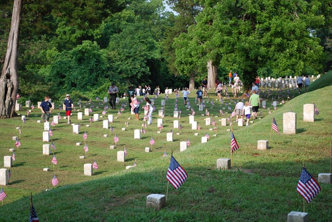 Military cemetery filed with US flags