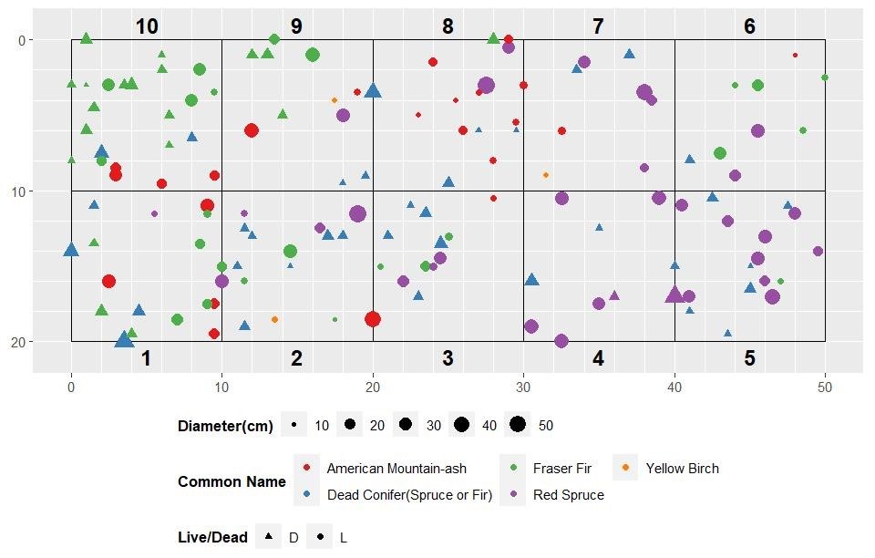 A plot map of all overstory trees in plot VSG362.  Color, shape, and size represent tree species, diameter (cm) and live/dead status, respectively.  These maps will help to relocate trees in future resampling effort.