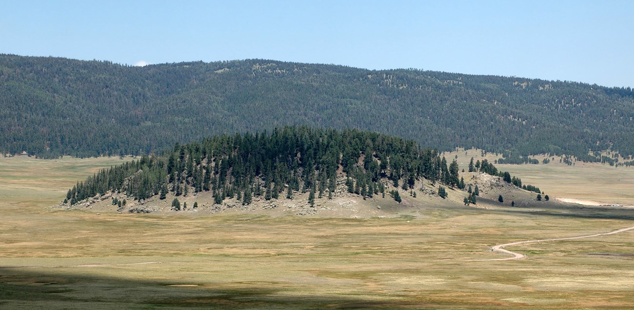 photo of a tree covered, dome-shaped hill located in an open valley with a forested ridge seen in the distance
