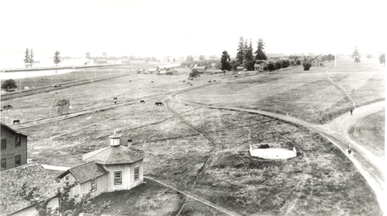 A black and white photo of Vancouver Barracks facing west. Horses graze on large open fields. The Columbia River is to the south.