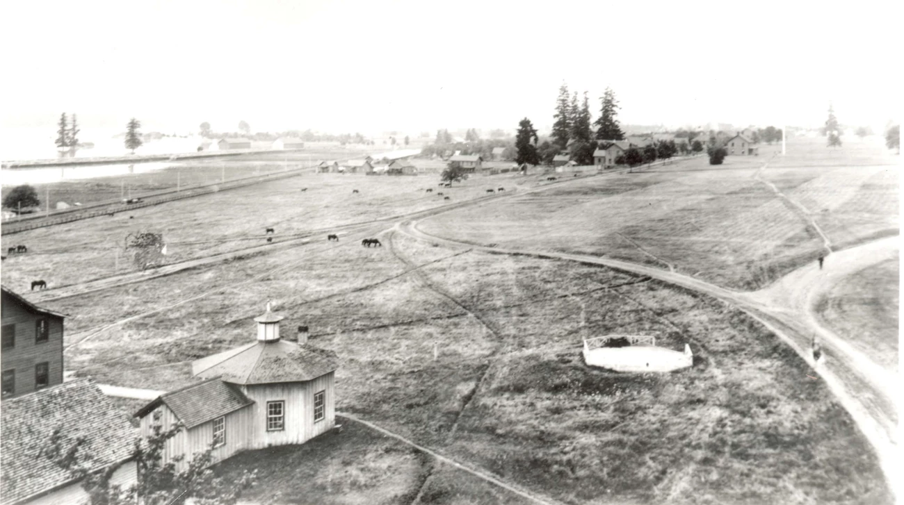 Vancouver bks highwater 1886 crop A black and white photo of Vancouver Barracks facing west. Horses graze on large open fields. The Columbia River is to the south.
