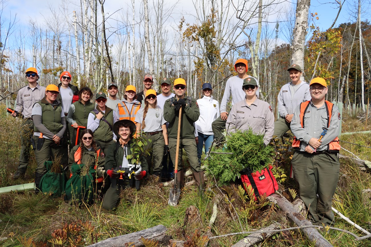 A group of NPS rangers and USDA Forest Serviceresearchers, many wearing orange hats, pose with plants and equipment in an open wetland environment.