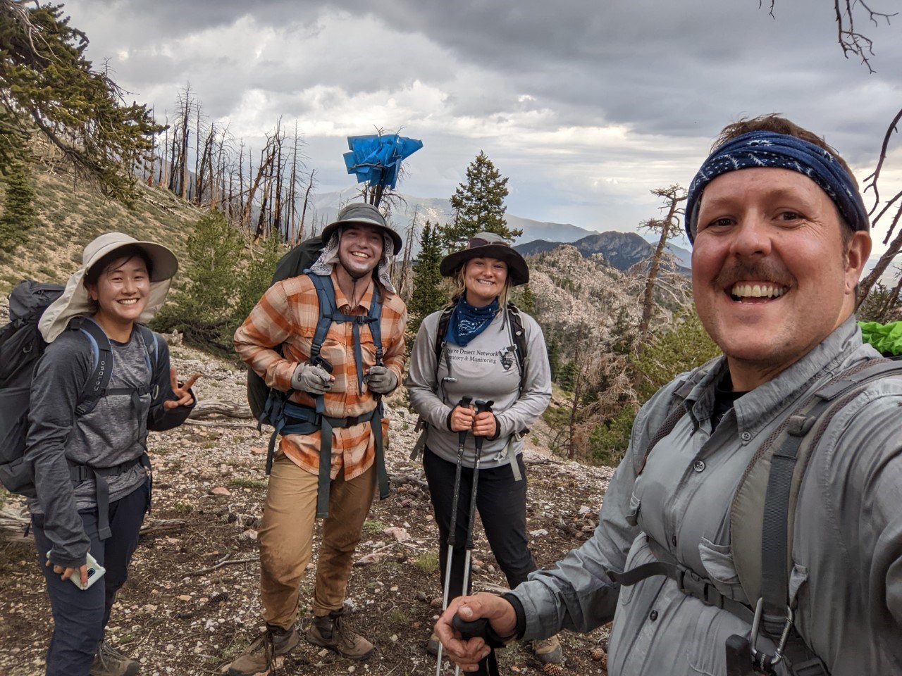 Selfie of four people dressed in field clothes stand along trail in pine forest and smile after finishing their white pines monitoring season.
