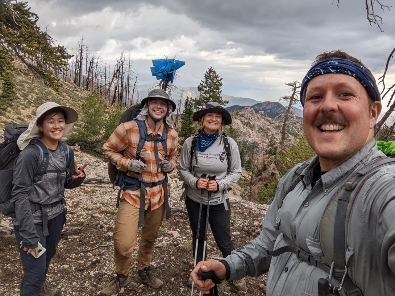 Vegetation monitoring crew, Great Basin National Park Selfie of four people dressed in field clothes stand along trail in pine forest and smile after finishing their white pines monitoring season.