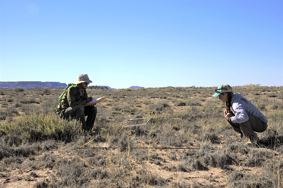 Two SCPN field crew members crouched over a square frame placed on the ground in a scrubby, sandy grassland. Figure on the left is a man with a hat and sunglasses writing something on a tablet. The figure on the right is a woman with a hat.