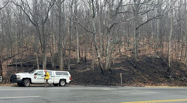 Vehicle Fire
