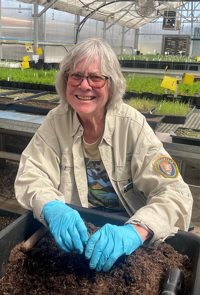 A woman with white hair and glasses inside a greenhouse surrounded by green seedlings.