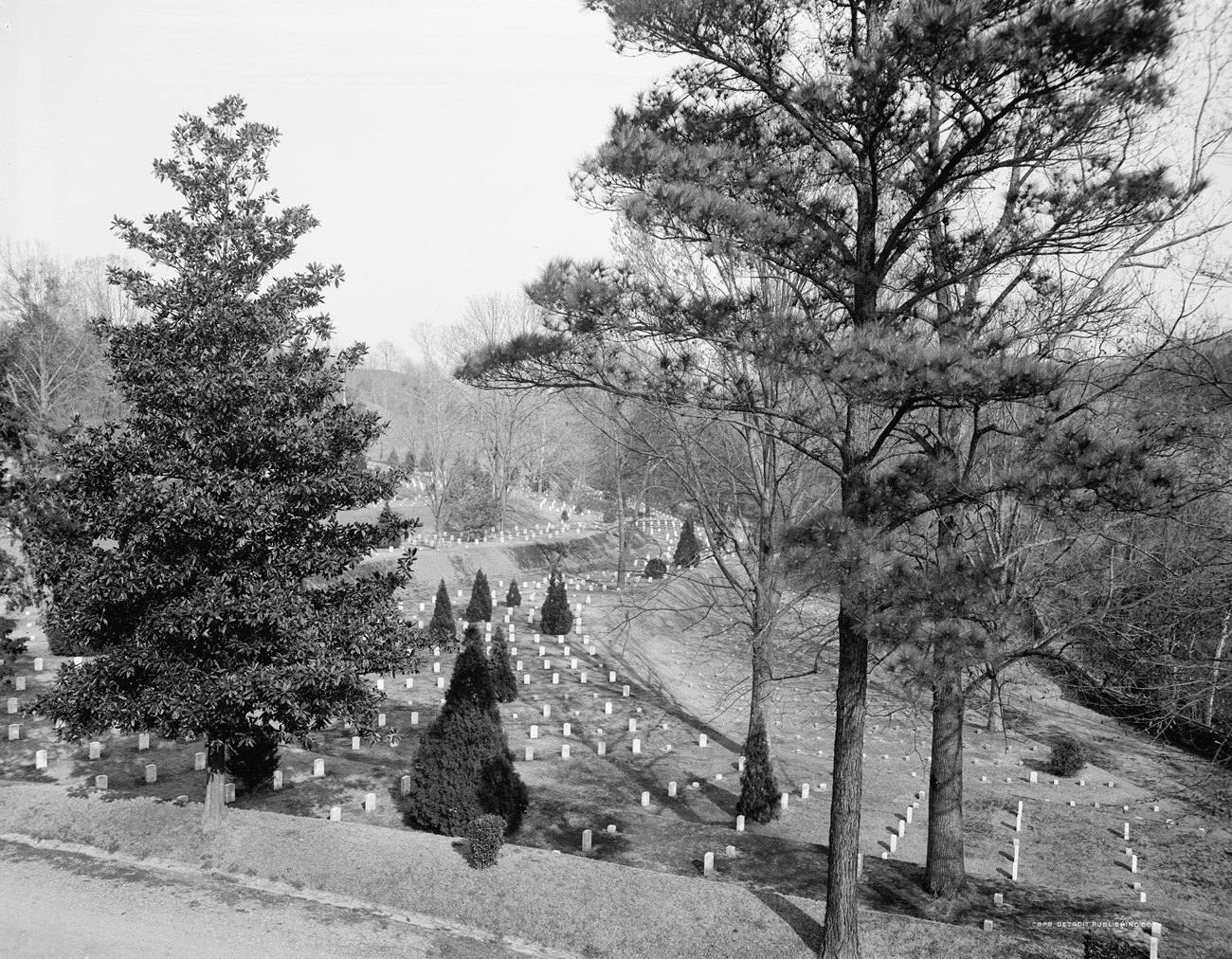 Recognizing the need to address the proper burial of Civil War dead, Congress passed legislation to establish Vicksburg National Cemetery in 1866. Black and white photo of a cemetery with neat rows of headstones. Tall trees and small shrubs create a somber, peaceful atmosphere.