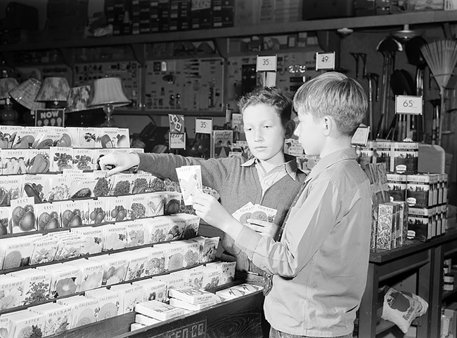 Black and white photo. A young white girl and white boy stand in front of a store display of seed packets.