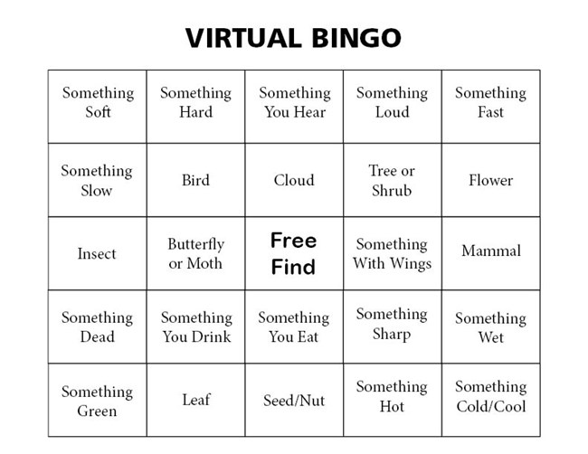 Virtual Bingo Card Five columns with five squares grid with text in each block. Text at top reads: Virtual Bingo.