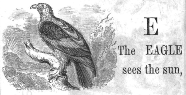 Vocab book Eagle Drawing of an eagle with the capital letter E from a schoolbook dating to the early 1800s.