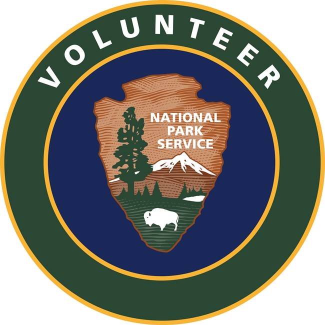 The Volunteers-In-Parks logo featuring the National Park Service arrowhead emblem at its center, depicting a bison, a tree, mountains, and water. Surrounding the emblem is a circular green border with the word 'VOLUNTEER'  