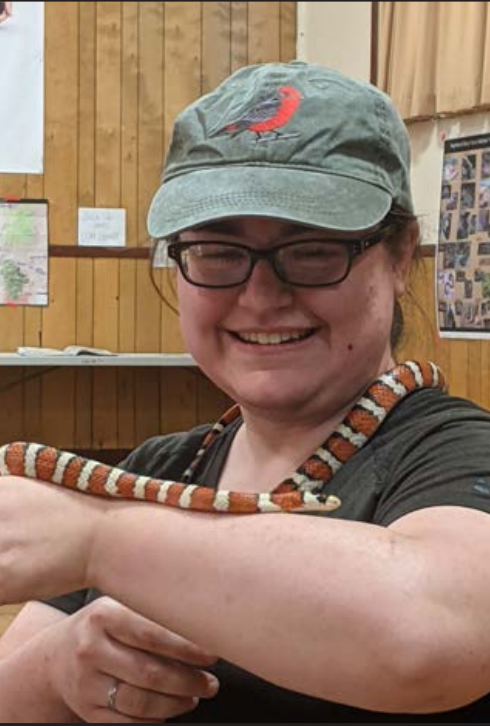 Volunteer with snake A BioBlitz participant visits with a kingsnake  up close.