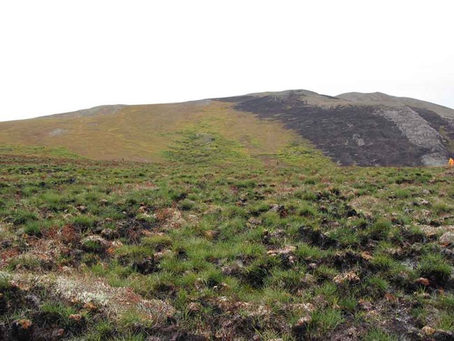 WAH-2005-9-02-T22-view-south-00m_web A tundra fire scar in caribou habitat.