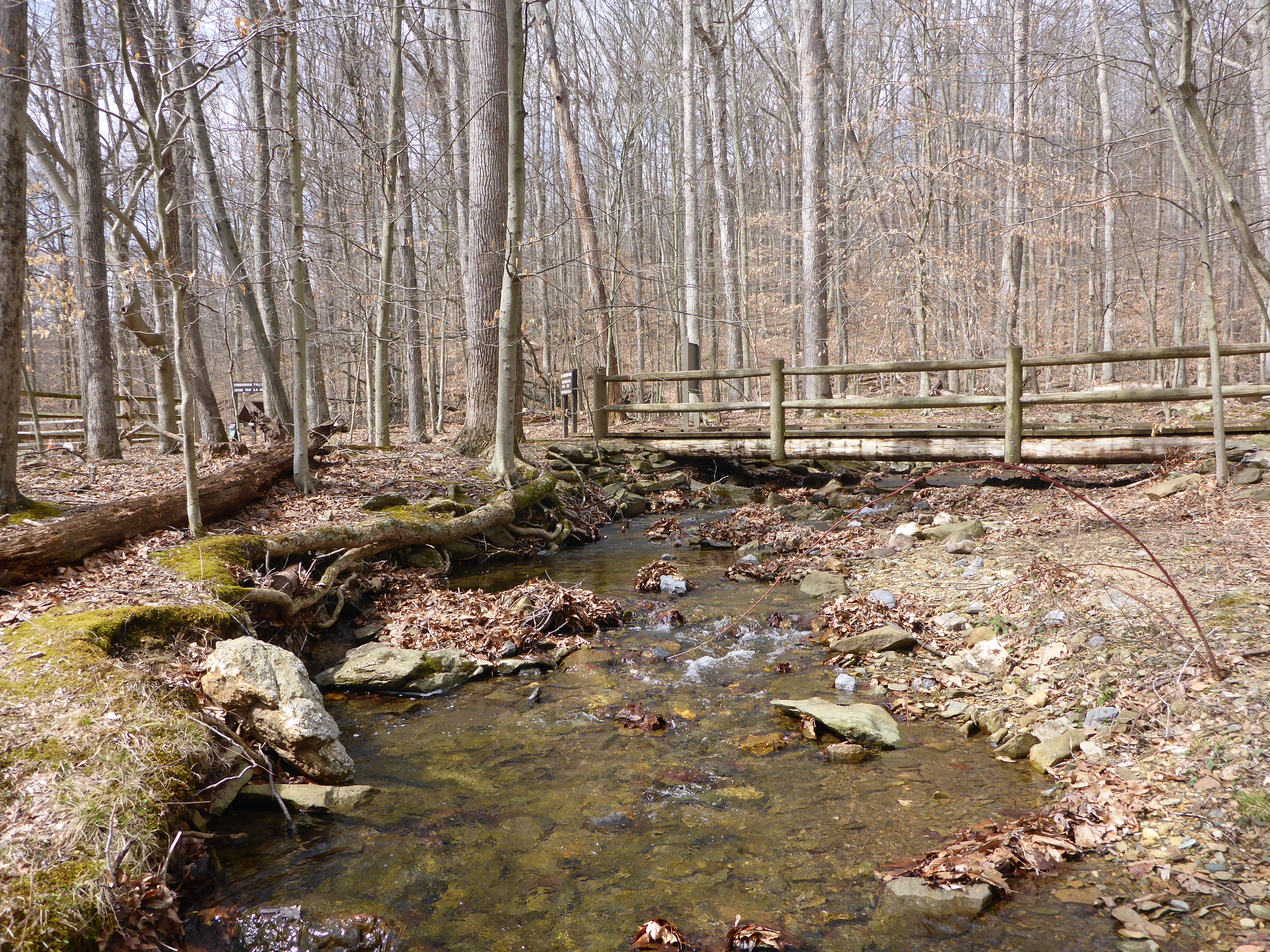 A forest stream with rocky banks retreats under a fenced walking path.