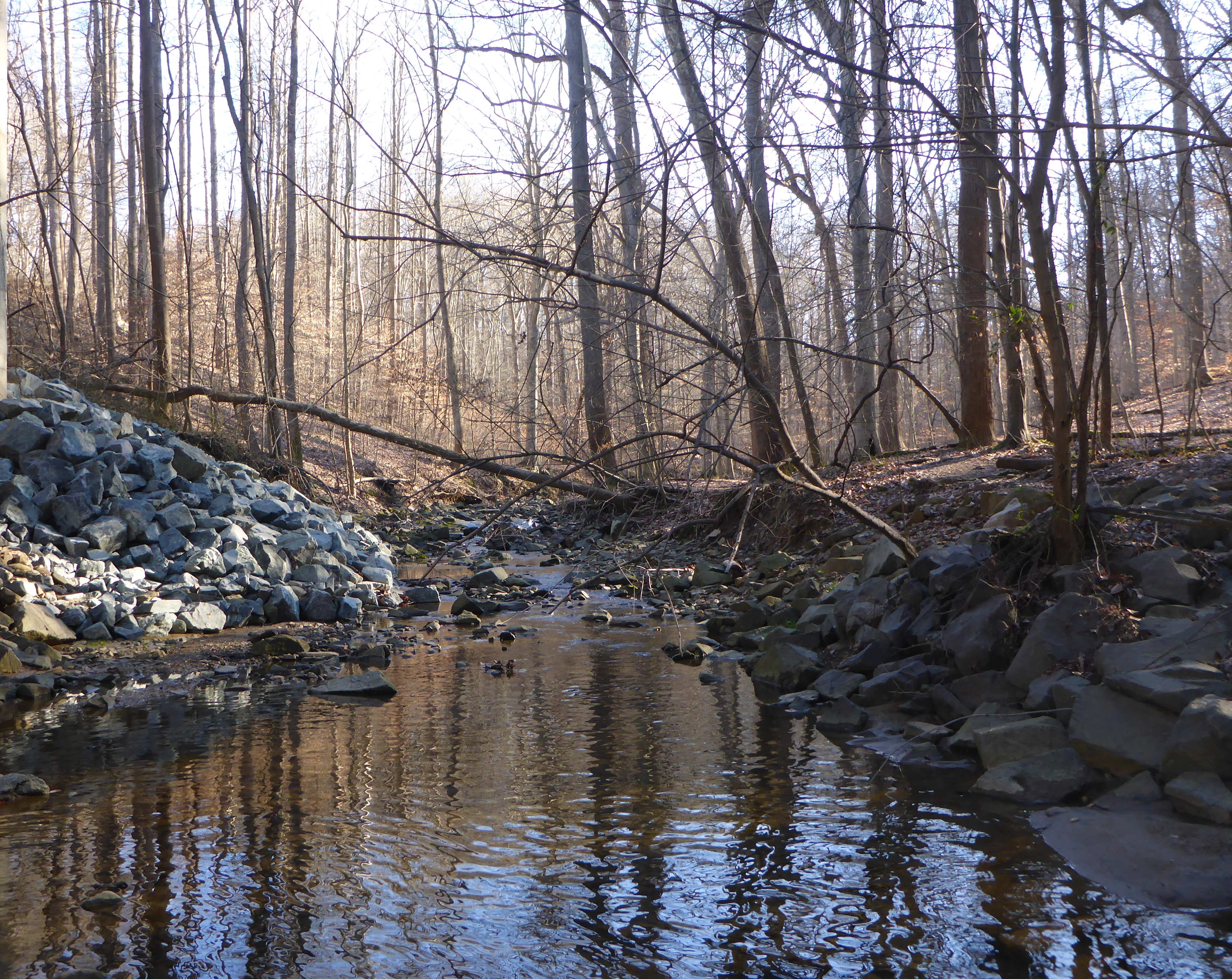A stream, with rocky banks retreats into the distance.