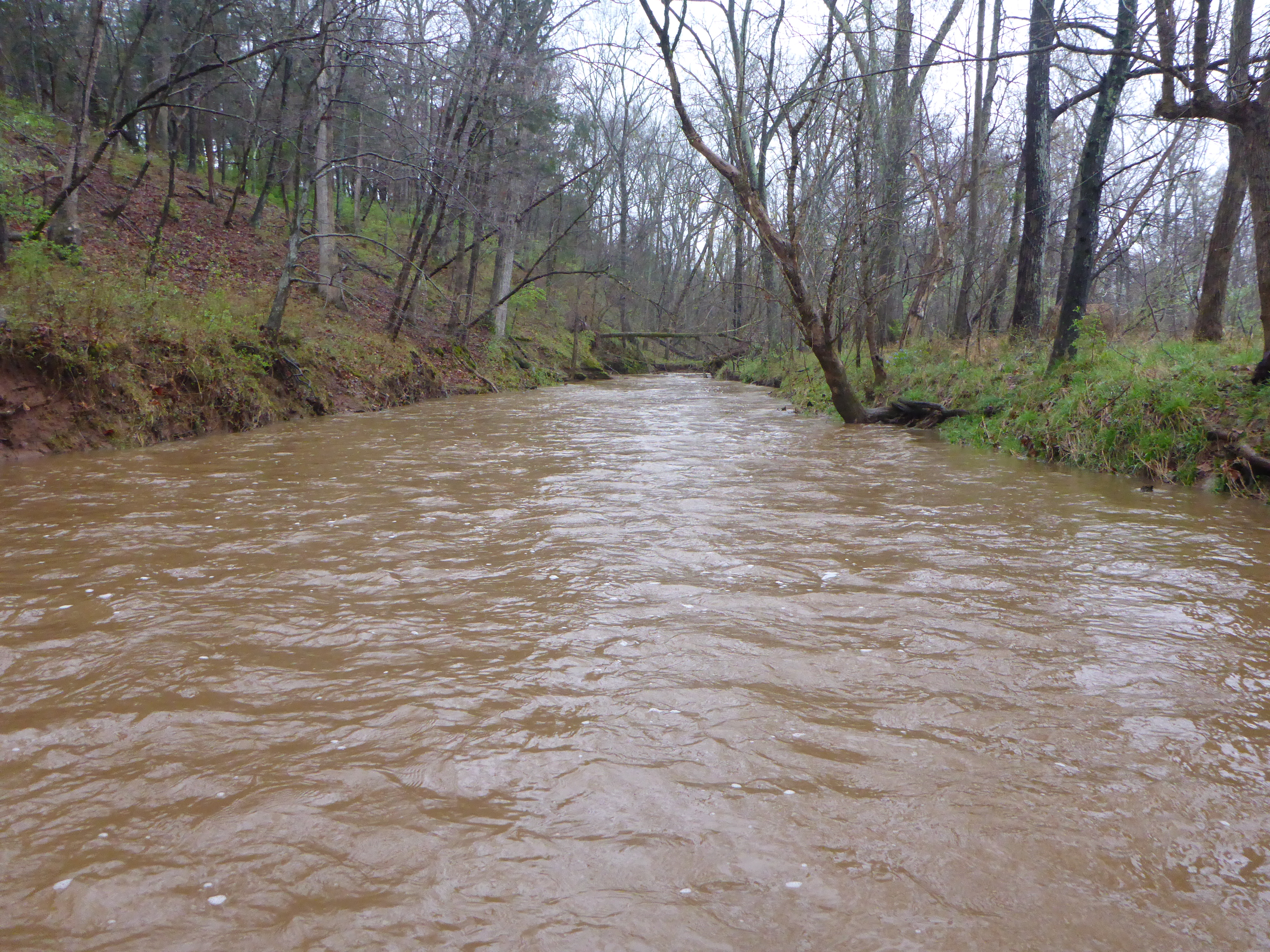 A wide stream with muddy water retreats into the distance, with some bare tree trunks along its banks.