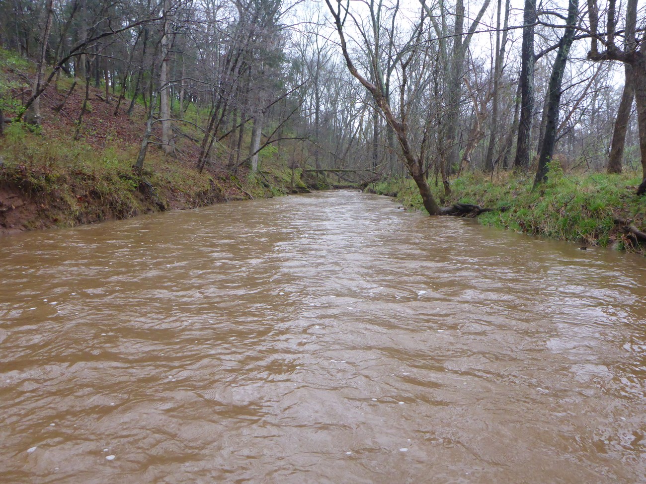 A wide stream with muddy water retreats into the distance, with some bare tree trunks along its banks.