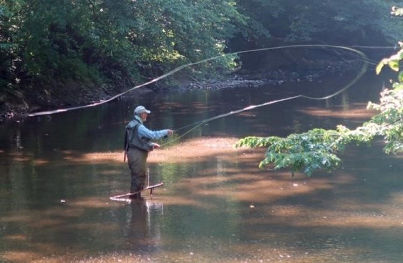 On a sun dappled section of river, Ed casts with his fly rod in hopes of his next big catch. Photo credit: Stewart Whisenant.