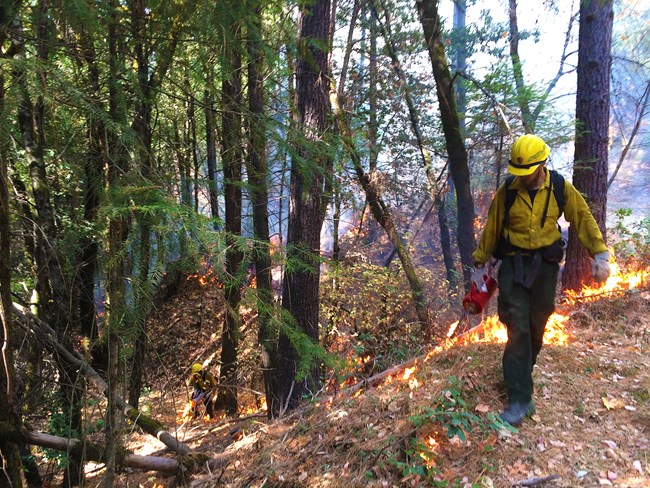 Two people in yellow and green fire gear walk through a forest with large torches, leaving flames and smoke in their wake.