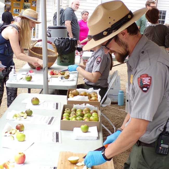 Harvest Festival at Whiskeytown National Recreation Area A ranger cuts apples behind a table while visitors browse nearby.