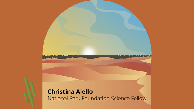 digital illustration of a desert scene and Christina Aiello, National Park Foundation Science Fellow