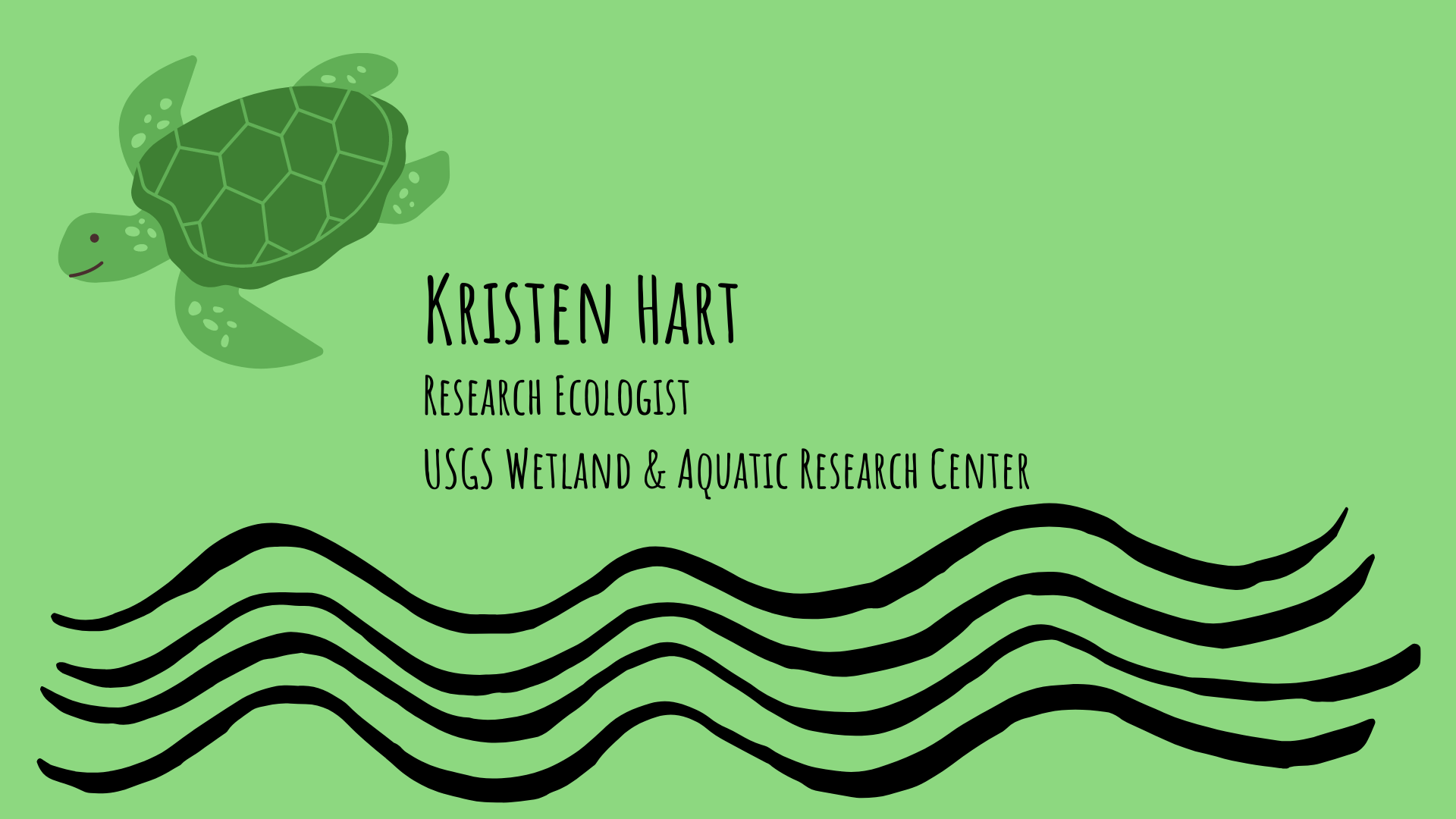 illustration of sea turtle and waves and Kristen Hart, USGS Wetlands & Aquatics Research Center