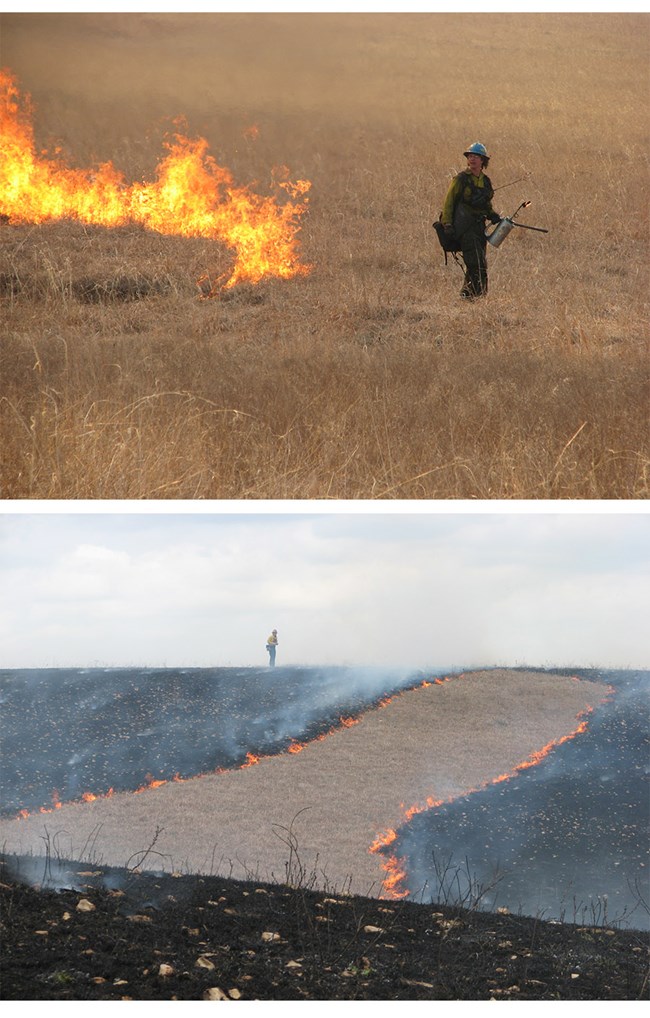 Images of wildland firefighters and lines of flame Images of wildland firefighter and line of flame