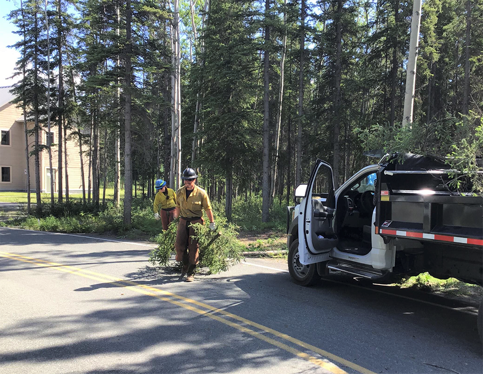 Two wildland firefighters haul limbs to a trailer.