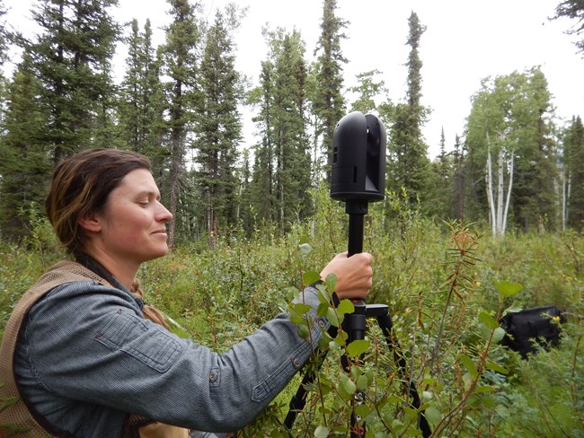 A fire ecologist sets up terrestrial lidar scanning equipment at a monitoring site