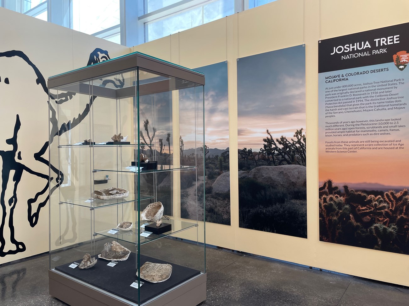 Photo of fossil exhibit inside a visitor center.
