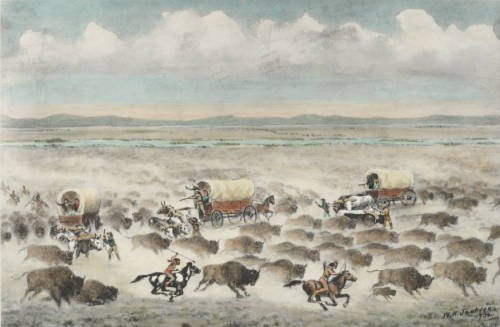 An illustration of a group of covered wagons and American Indians on horseback, in the midst of a bison stampede.