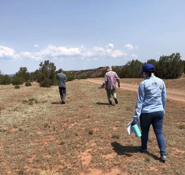 people walking on dirt and brown grass