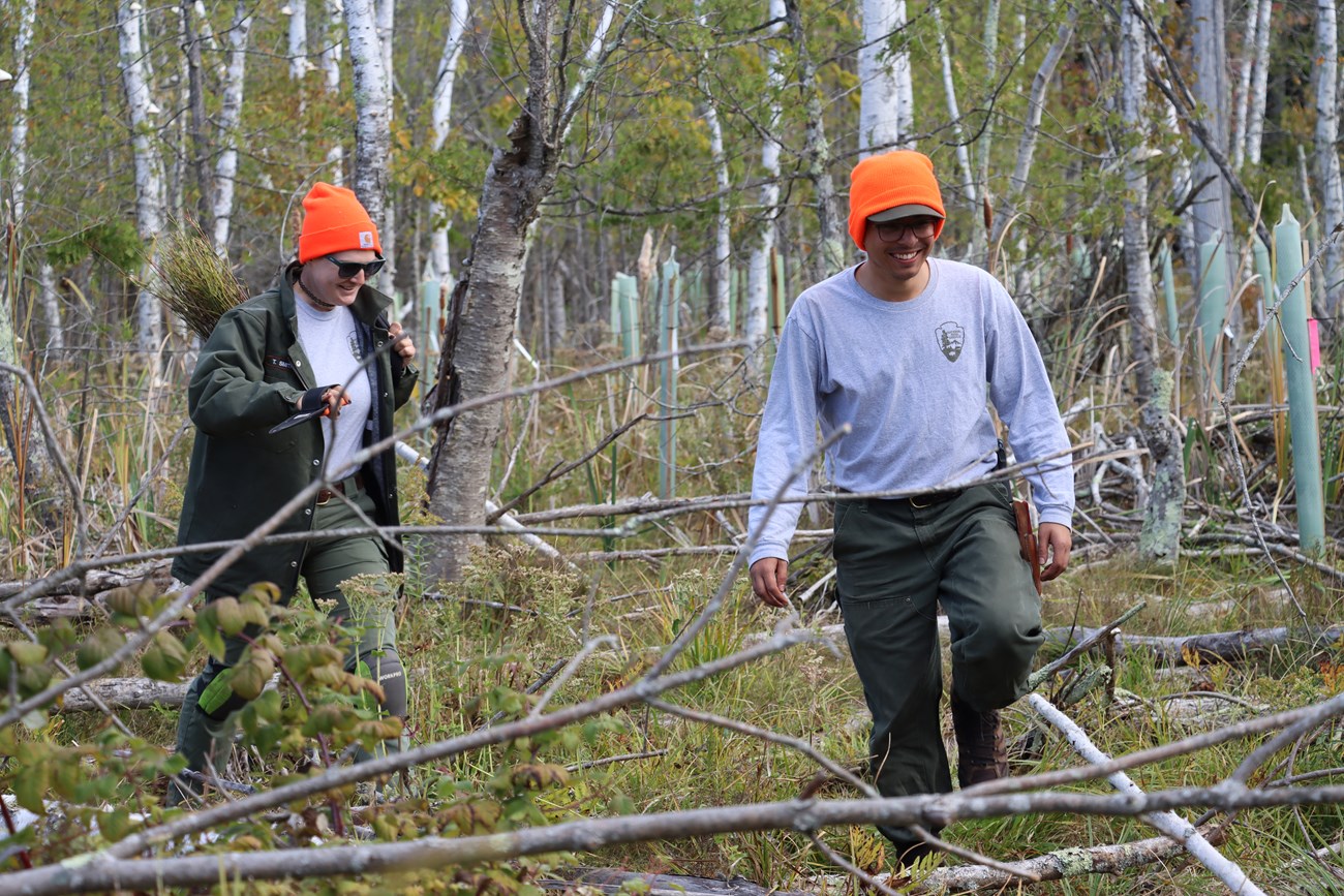 Two NPS rangers, both wearing orange hats, walk through a wetland. The ranger on the left is carrying a trowel and a bag filled with sapling trees.