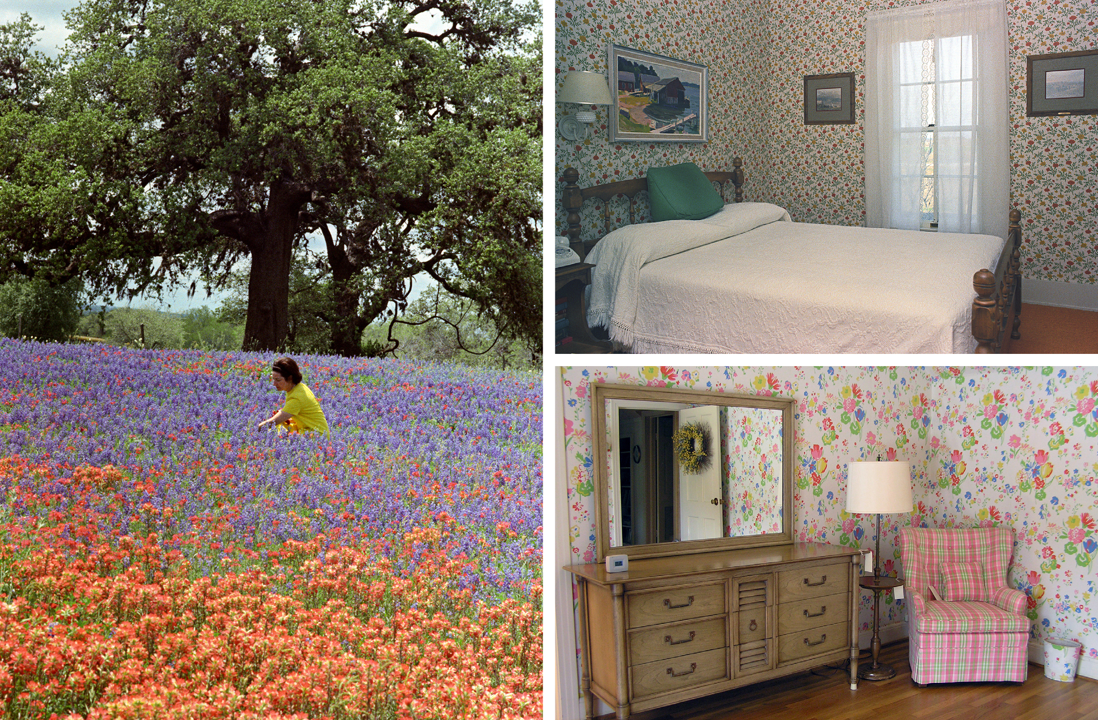 Set of three photos: woman kneeling in field of flowers and two bedrooms with bright floral wallpaper.