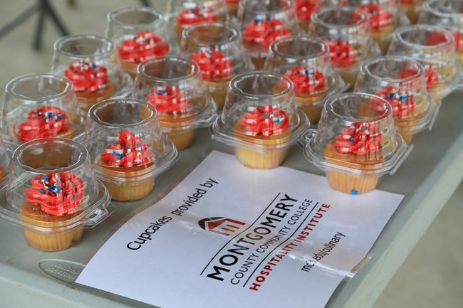 rows of cupcakes with icing and sprinkles sit on a table