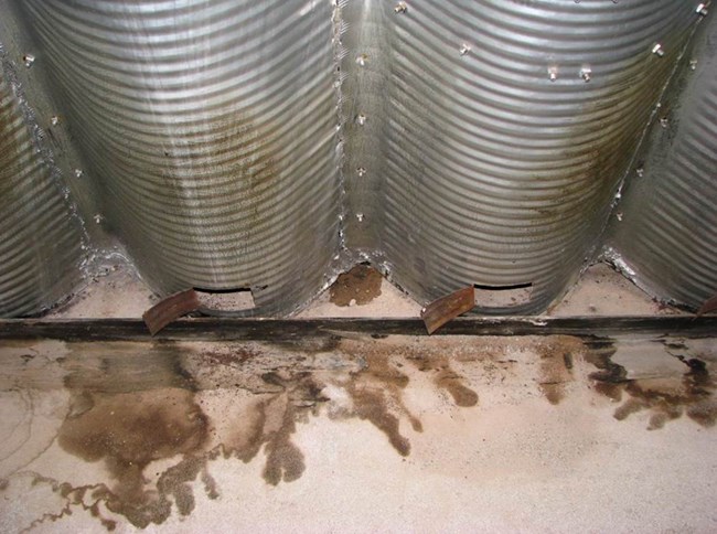 Water leaking from the hatchways of the arch. Water leaking from the hatchways of the arch.