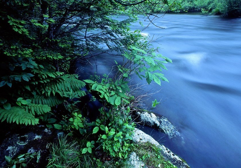 West Branch of the Farmington River. Credit: Tim Palmer