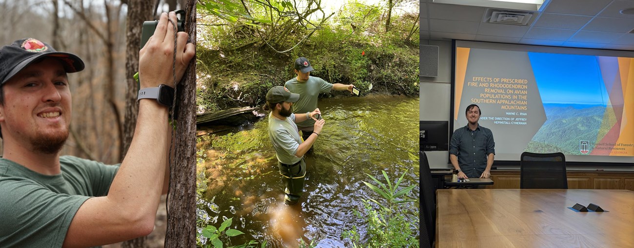 Wayne Ryan, former SECN Wildlife Intern Man putting ARD on a tree, two men standing in a stream and a man standing in front of screen.