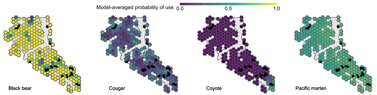 Figure from a research paper; see description below.