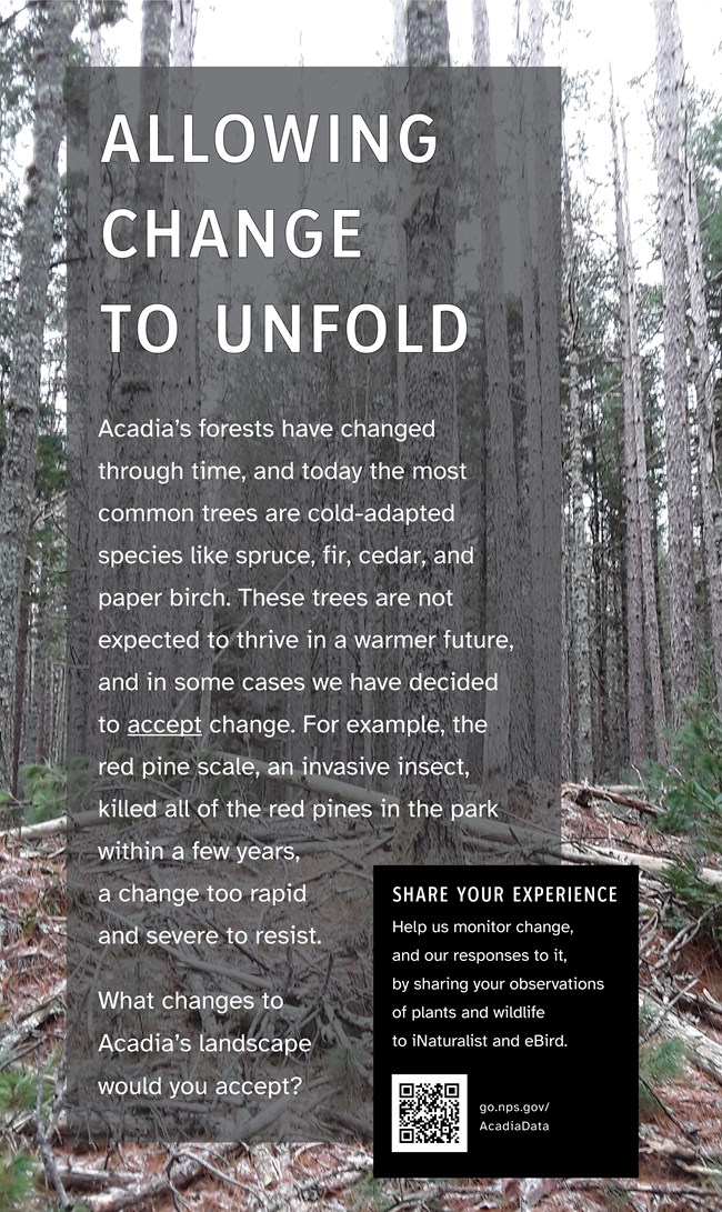Thumbnail image of Changing Acadia wayside panel Thumbnail image of Changing Acadia wayside panel