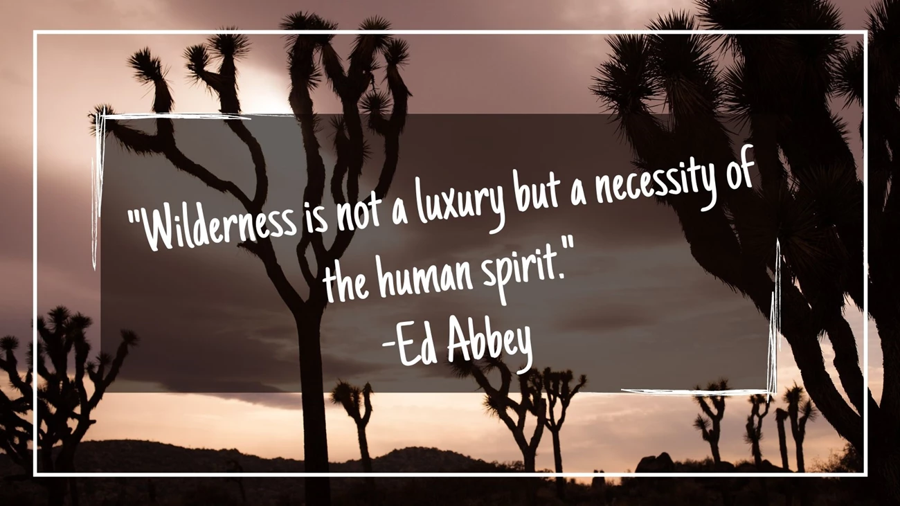 Wilderness is not a luxury but a necessity of the human spirit graphic with Joshua Tree in the background and text reads Wilderness is not a luxury but a necessity of the human spirit - Ed Abbey