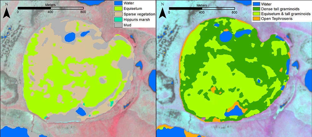 Wlake_web Side-by-side comparison of revegetation of study lakes.