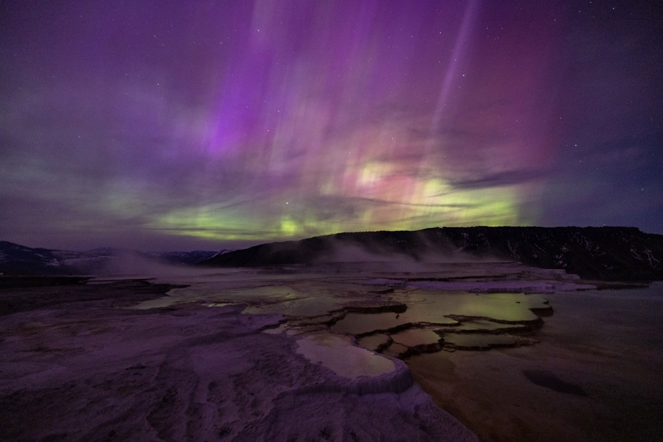 Northern Lights in Yellowstone National Park purples, blues, and greens of the northern lights light up the sky over a hydrothermal hot spring at night