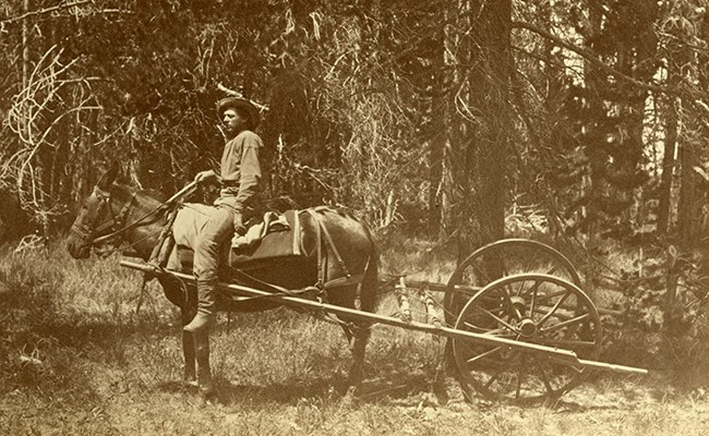 A horse pulls a wheeled cart.