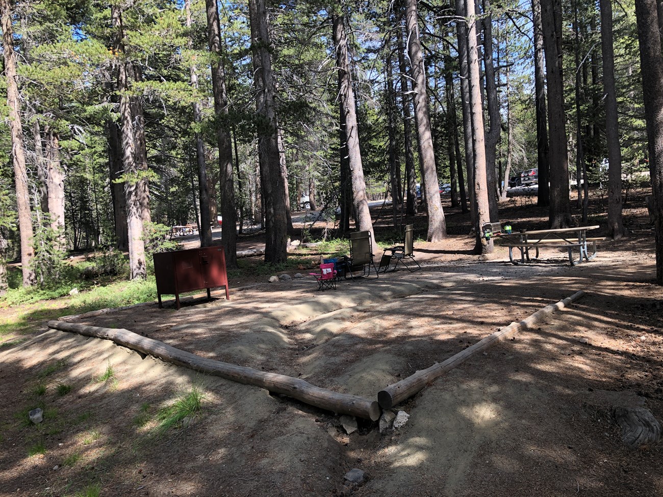 Campground platform in the woods