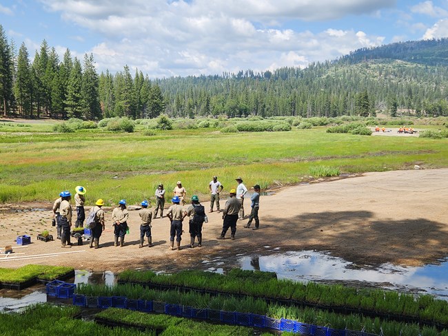A group of people in a meadow.