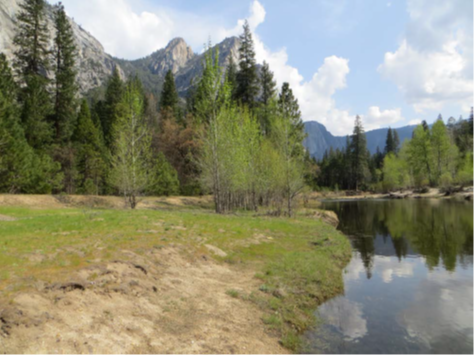 YOSE_ElCapitan_Site by Merced River_2016_NPS Photo The Merced Wild and Scenic River sits in the right side of the image and its green and brown bank on the left with clouds and a blue sky reflecting in the water as pine trees and towering peaks sit in the background.