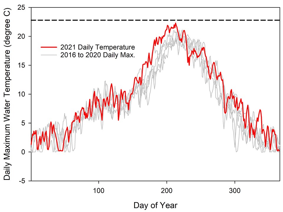 A line graph of daily maximum water temperature where 2021 temperatures were below the normal for the previous five years.